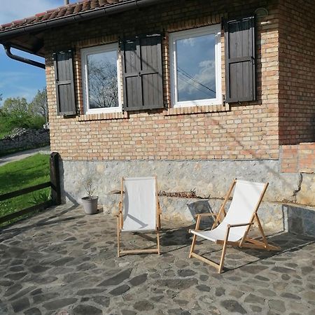 Apartman Gradac Deguric Valjevo Rum bild
